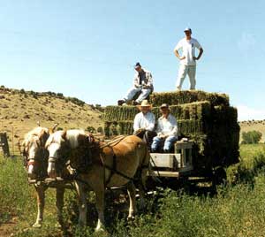 Big Bob and Little Nicki